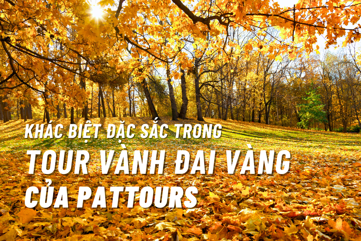 Những điểm khác biệt trong tour Vành đai Vàng nước Nga chỉ có ở PATTOURS
